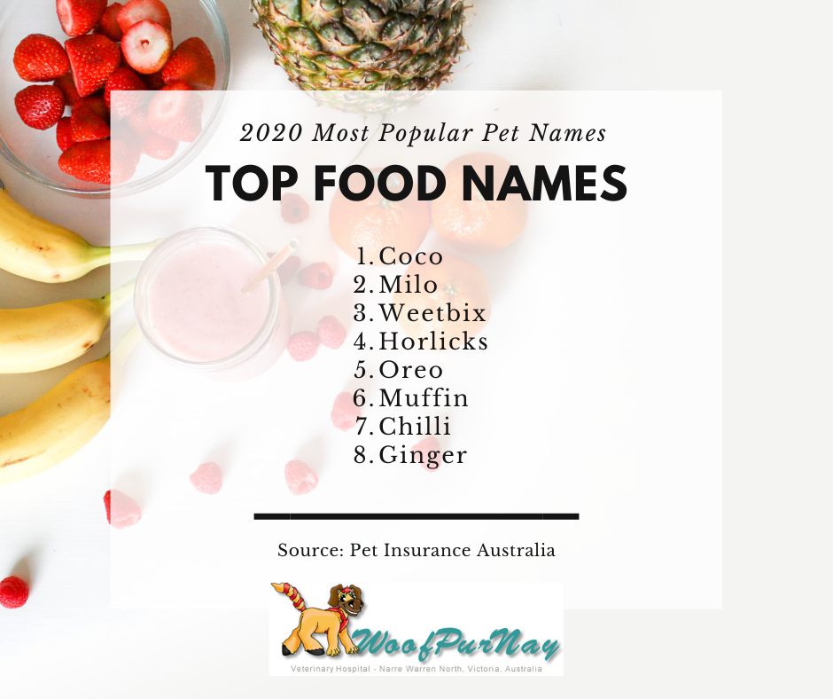 Food names for online pets